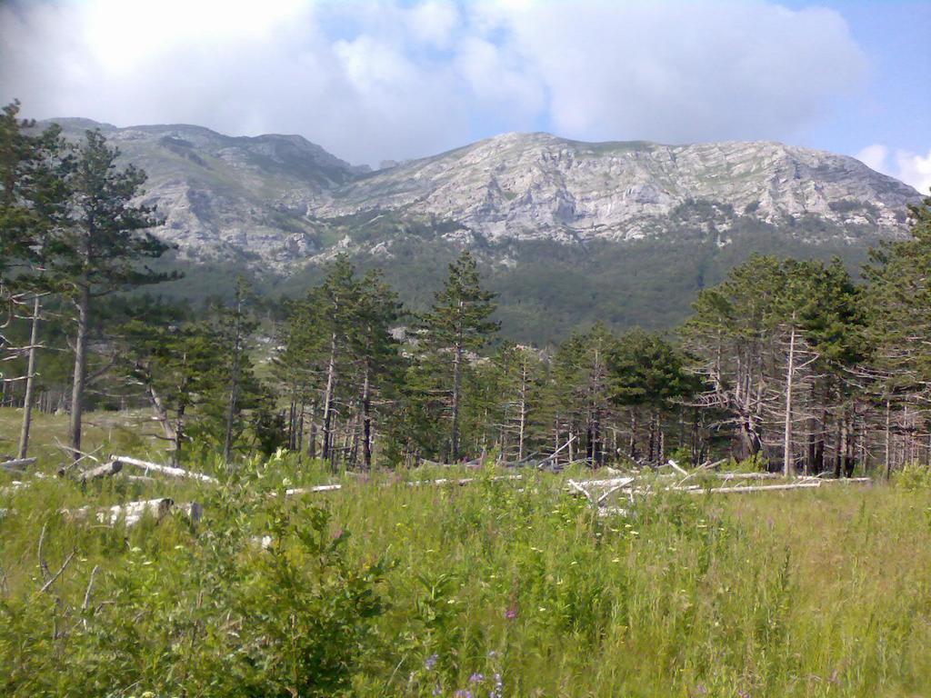 Apartments Lana Starigrad Paklenica Exteriör bild
